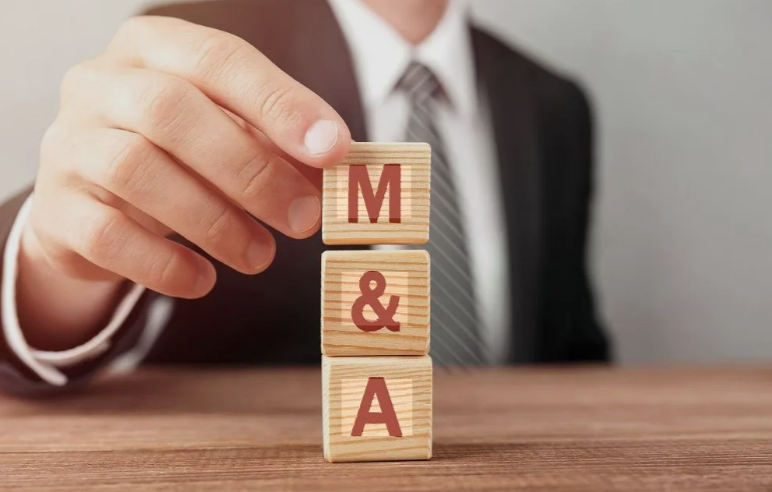 Financial consultants discussing mergers and acquisitions