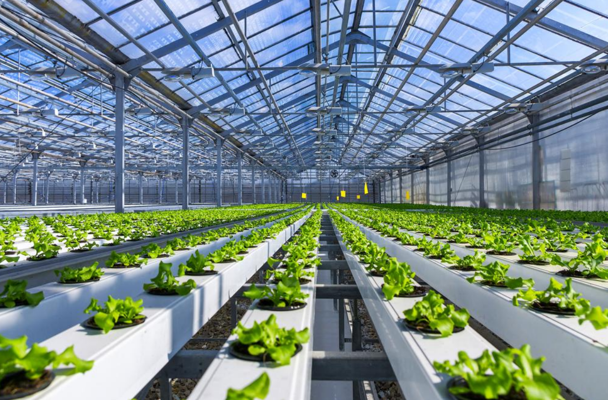 Modern agricultural greenhouse